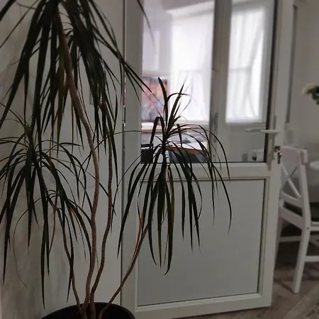 Apartment Amber