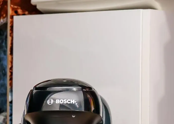 Amber * クラヨーヴァ